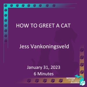 How to Greet a Cat Jess Vankoningsveld Jan. 31, 2023