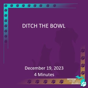 Ditch the Bowll December 19, 2023 4 Minutes