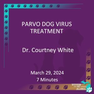 Parvo Dog Virus Treatment Dr. Courtney White March 29, 2024 Runtime: 7 minutes