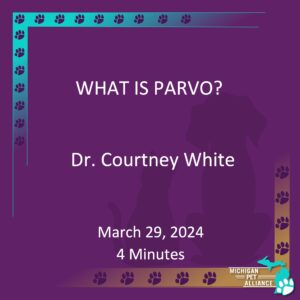 What is Parvo? Dr. Courtney White March 29, 2024 Runtime: 4 minutes