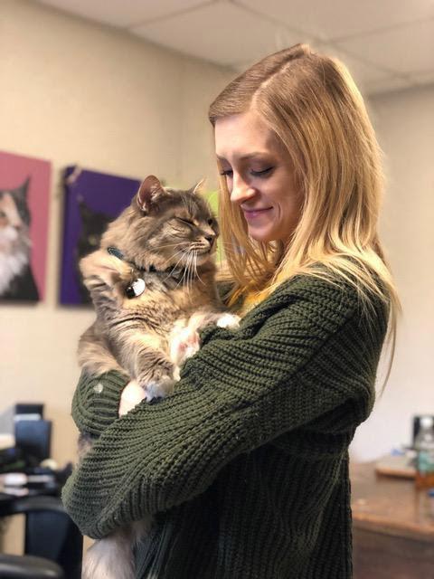 Pet Angel Cat Adoption & Rescue